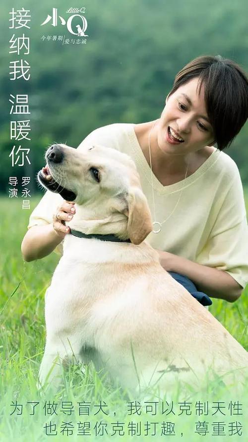 哪里可以办理假营运证